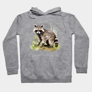 Cute Raccoon Lovers Hoodie